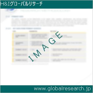 グローバルリサーチ調査レポートのイメージ